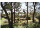 Towrang NSW 2580