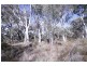Towrang NSW 2580