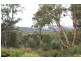 Big Hill NSW 2579