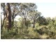 1 Bumballa  St, Tallong NSW 2579