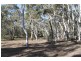 Lot 165 Mulwarre  Dr, Tallong NSW 2579