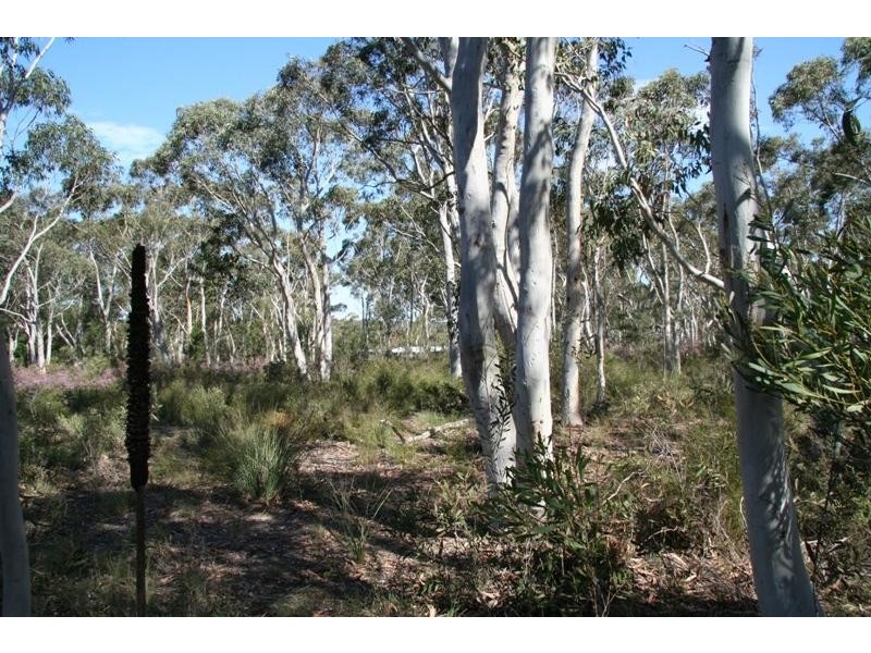 Corner Tamar & Bumballa St, Tallong NSW 2579