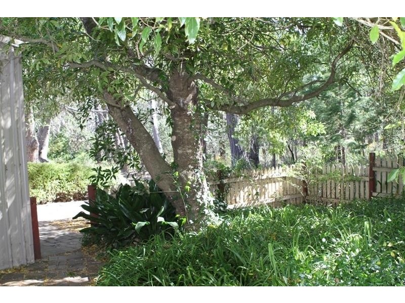 99 Dunlop Lane, Penrose NSW 2579