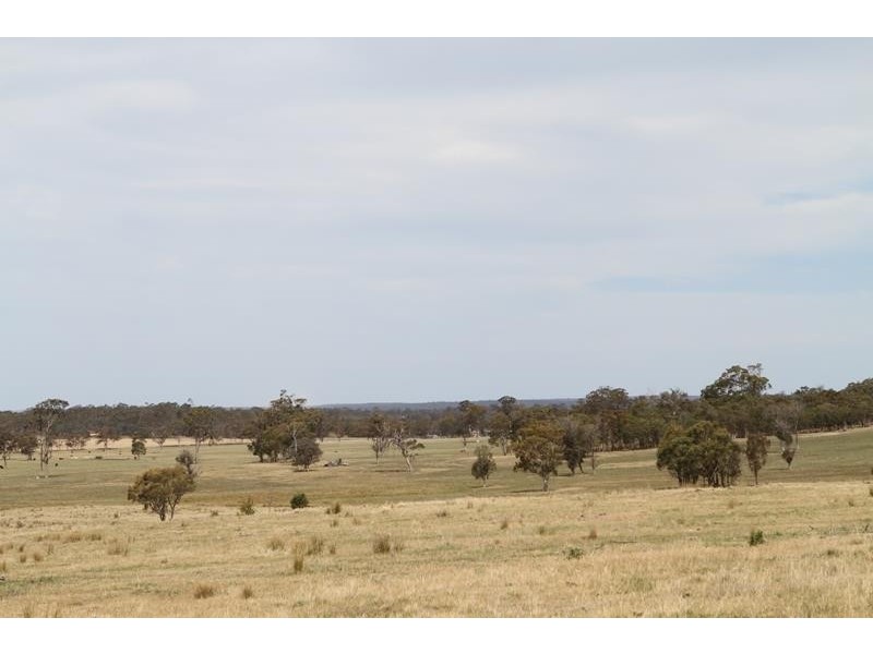 231 Jerrara Rd, Marulan NSW 2579