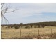 231 Jerrara Rd, Marulan NSW 2579