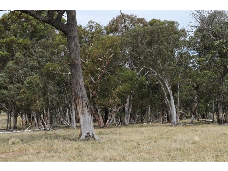 231 Jerrara Rd, Marulan NSW 2579