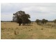 231 Jerrara Rd, Marulan NSW 2579