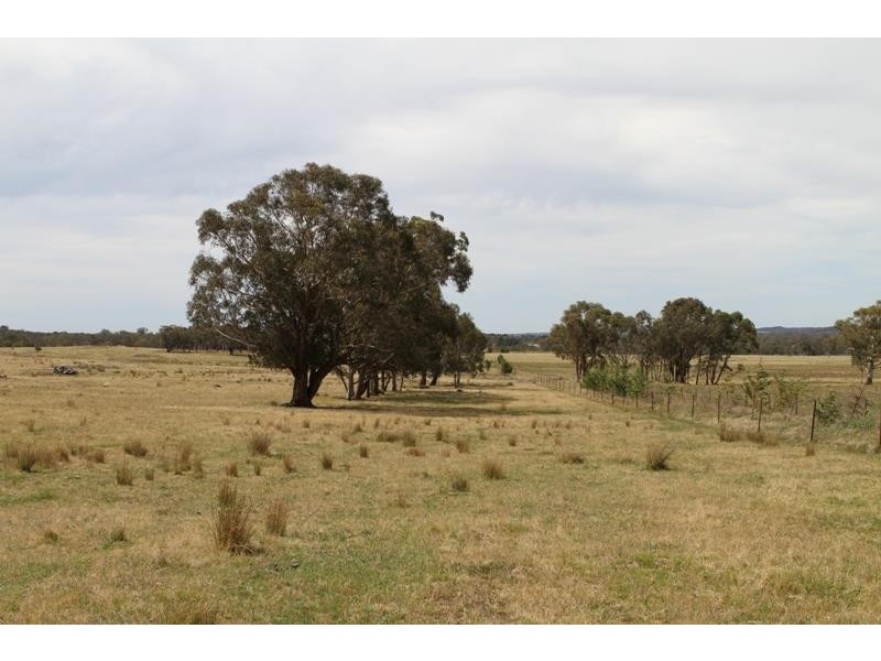 231 Jerrara Rd, Marulan NSW 2579