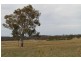 231 Jerrara Rd, Marulan NSW 2579