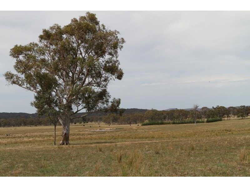 231 Jerrara Rd, Marulan NSW 2579
