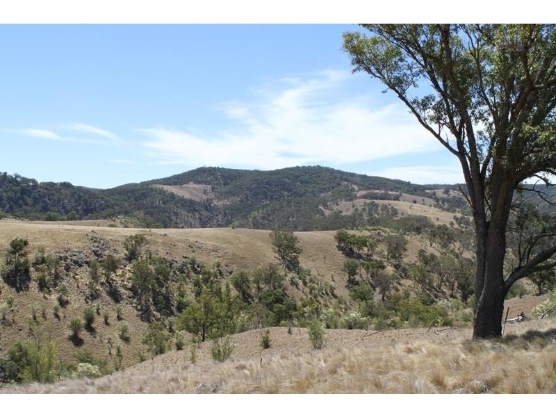 3111 Brayton Rd, Big Hill NSW 2579