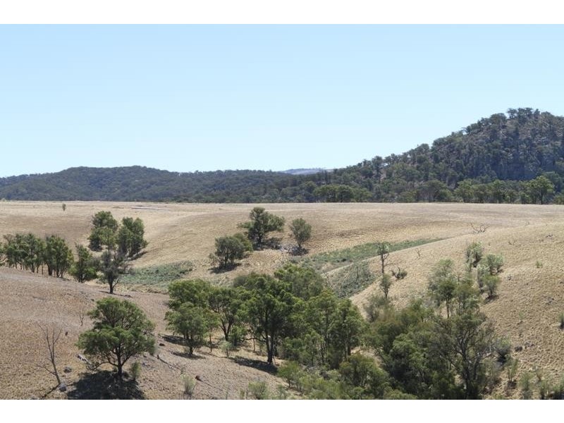 3111 Brayton Rd, Big Hill NSW 2579