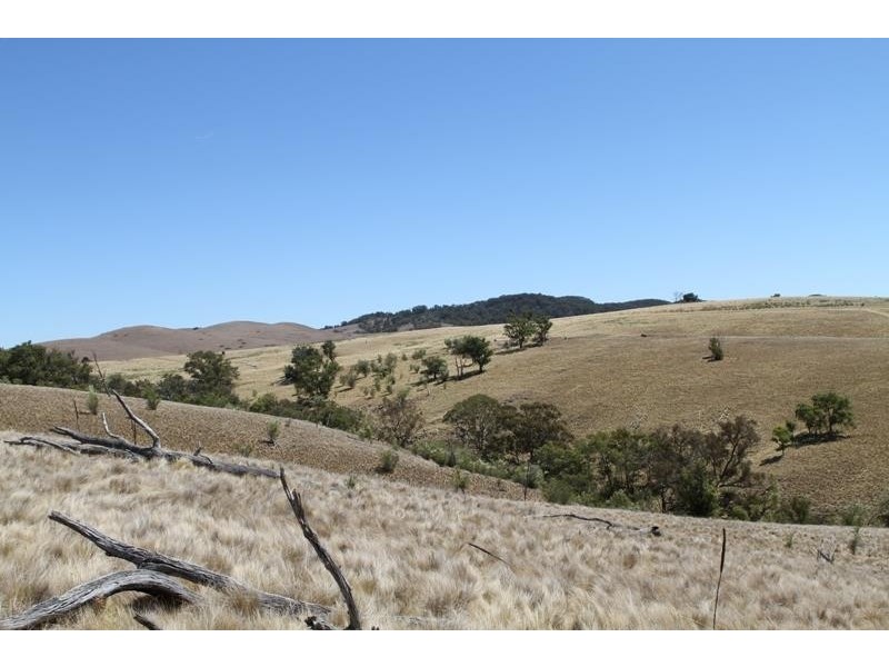 3111 Brayton Rd, Big Hill NSW 2579