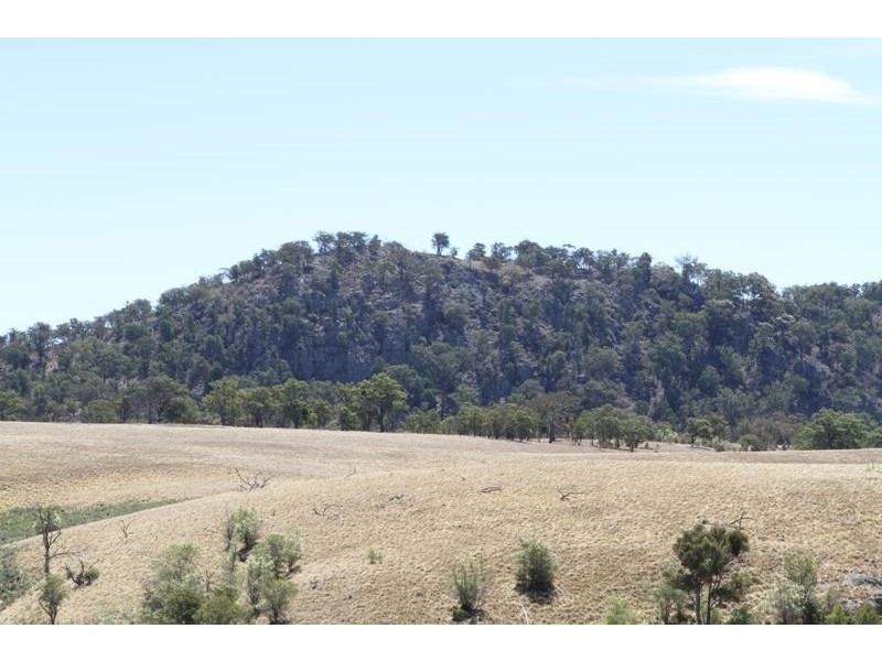 3111 Brayton Rd, Big Hill NSW 2579