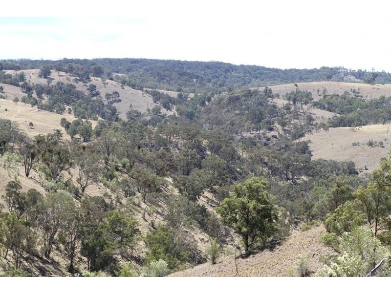 3111 Brayton Rd, Big Hill NSW 2579