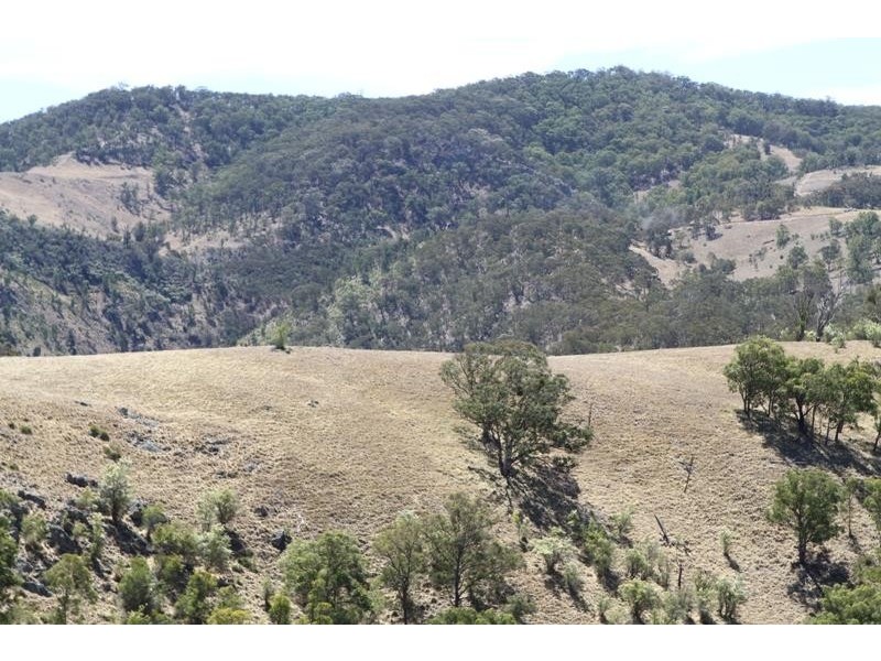 3111 Brayton Rd, Big Hill NSW 2579