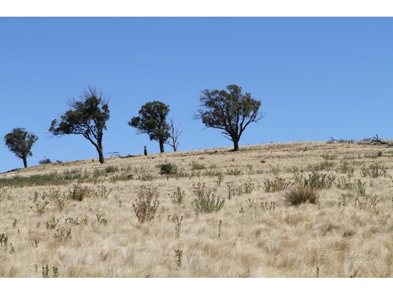 3111 Brayton Rd, Big Hill NSW 2579