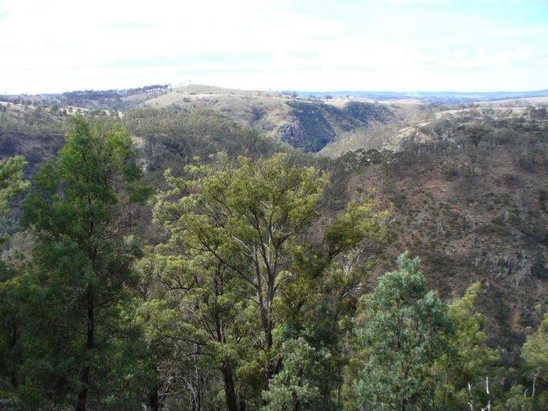 3111 Brayton Rd, Big Hill NSW 2579