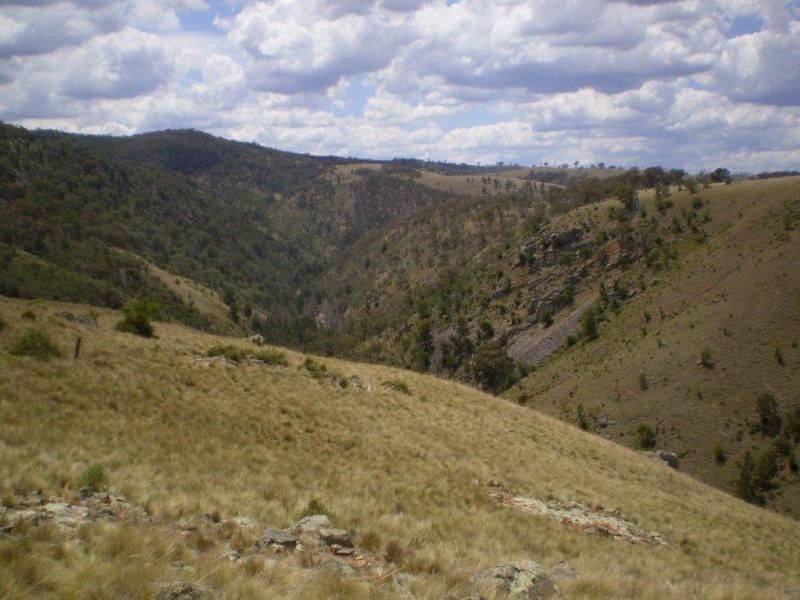 3111 Brayton Rd, Big Hill NSW 2579