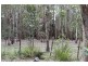 88 Badgerys Lookout Rd, Tallong NSW 2579