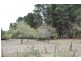 88 Badgerys Lookout Rd, Tallong NSW 2579