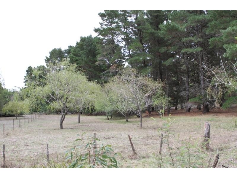 88 Badgerys Lookout Rd, Tallong NSW 2579