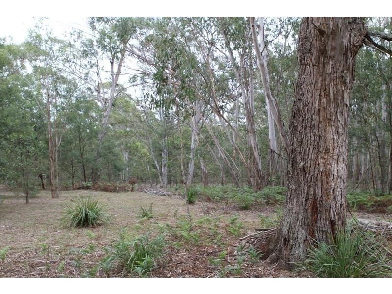 87 Badgerys Lookout Rd, Tallong NSW 2579