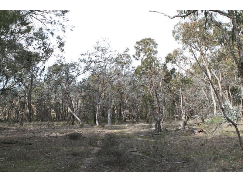 49 Suffolk Rd, Marulan NSW 2579