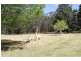 99 Dunlop Lane, Penrose NSW 2579