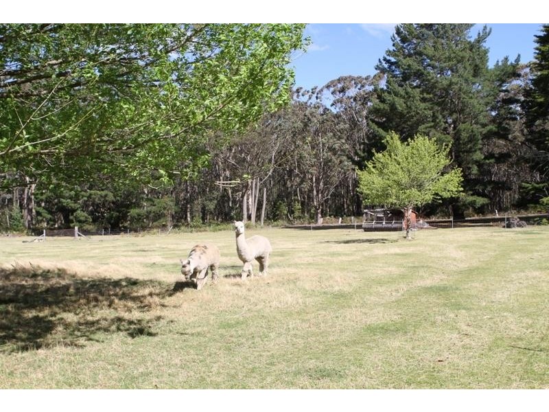 99 Dunlop Lane, Penrose NSW 2579
