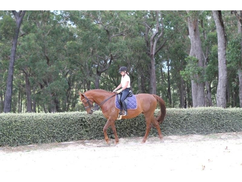 84 Newbury Dr, Penrose NSW 2579