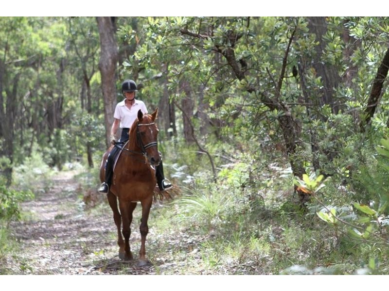 84 Newbury Dr, Penrose NSW 2579