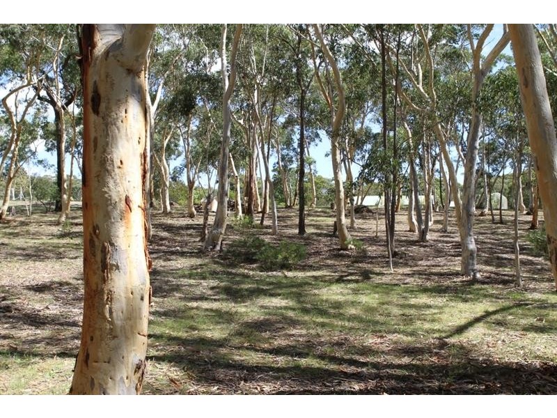 169 Mulwaree Dr, Tallong NSW 2579