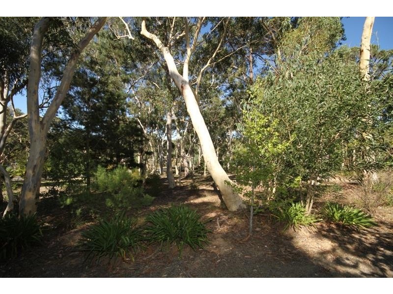 19 Banksia Ave, Tallong NSW 2579