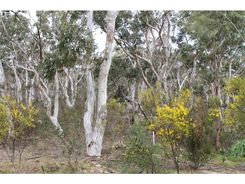 284 Mulwaree Dr, Tallong NSW 2579