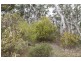 284 Mulwaree Dr, Tallong NSW 2579