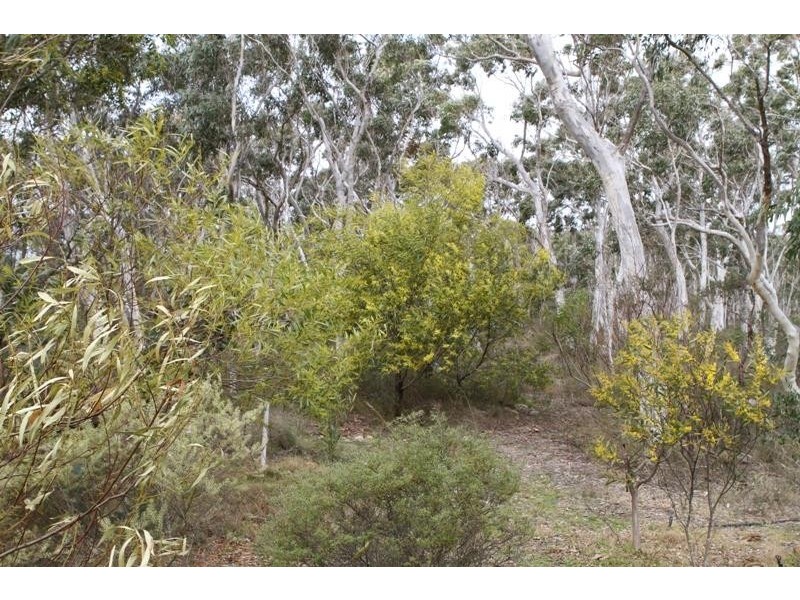 284 Mulwaree Dr, Tallong NSW 2579