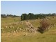 1203 Jerrara Rd, Marulan NSW 2579