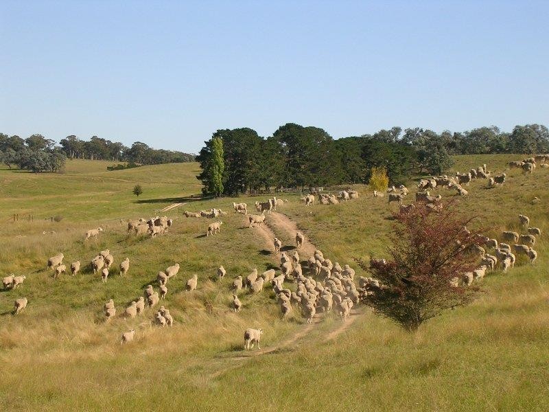 1203 Jerrara Rd, Marulan NSW 2579