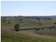 1203 Jerrara Rd, Marulan NSW 2579
