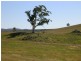 1203 Jerrara Rd, Marulan NSW 2579