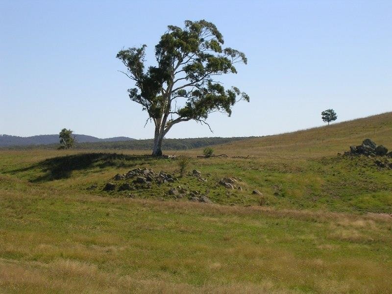 1203 Jerrara Rd, Marulan NSW 2579