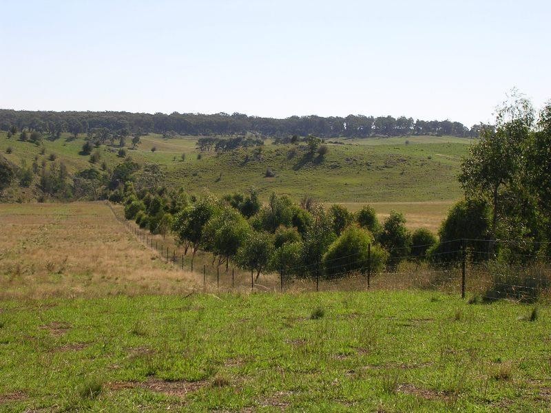 1203 Jerrara Rd, Marulan NSW 2579