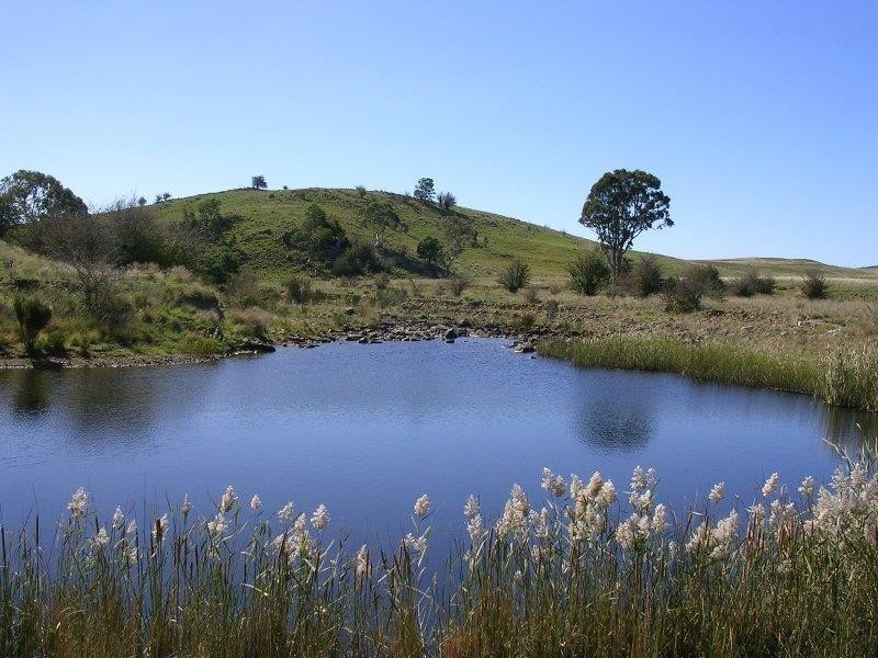 1203 Jerrara Rd, Marulan NSW 2579
