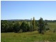 1203 Jerrara Rd, Marulan NSW 2579