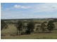 1203 Jerrara Rd, Marulan NSW 2579
