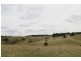 1203 Jerrara Rd, Marulan NSW 2579