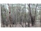 181 Highland Way, Marulan NSW 2579
