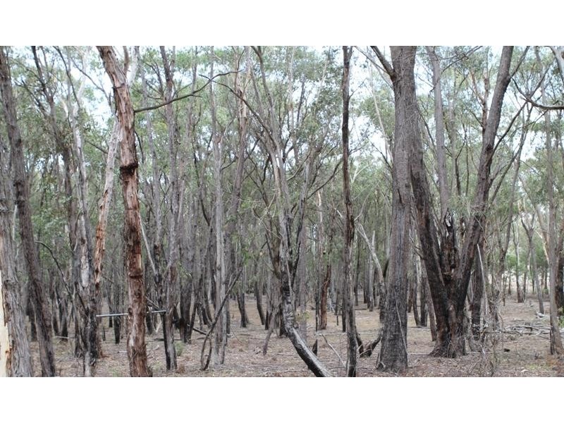181 Highland Way, Marulan NSW 2579