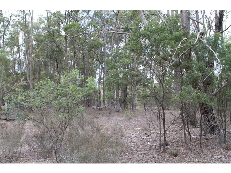 181 Highland Way, Marulan NSW 2579
